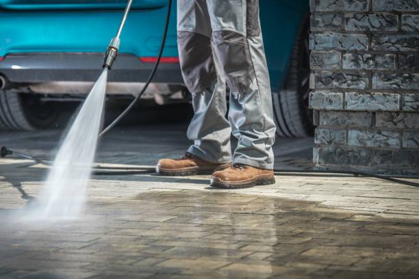 Best Fleet Vehicle Washing  in Pulaski, TN