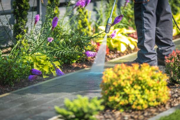 Best Sidewalk and Walkway Cleaning  in Pulaski, TN