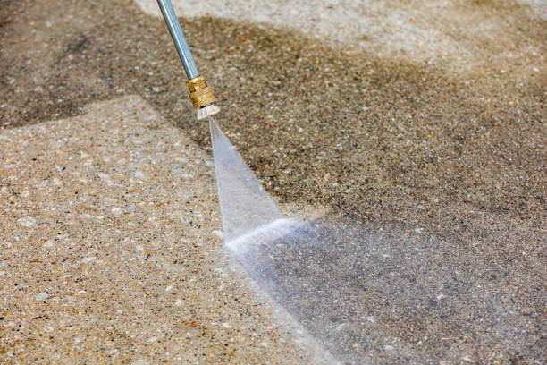 Best Animal Enclosure Cleaning  in Pulaski, TN